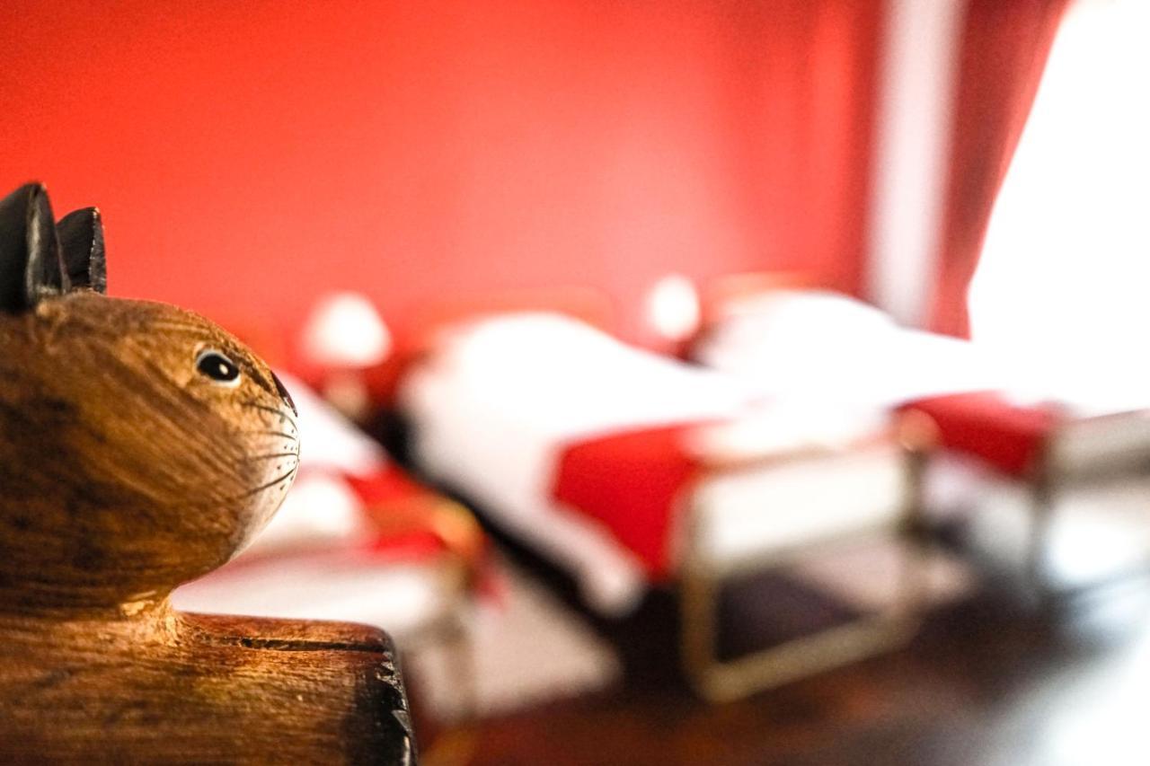 Azores Dream Hostel Ponta Delgada  Phòng bức ảnh